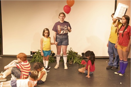 Day in the Park Performance Picture